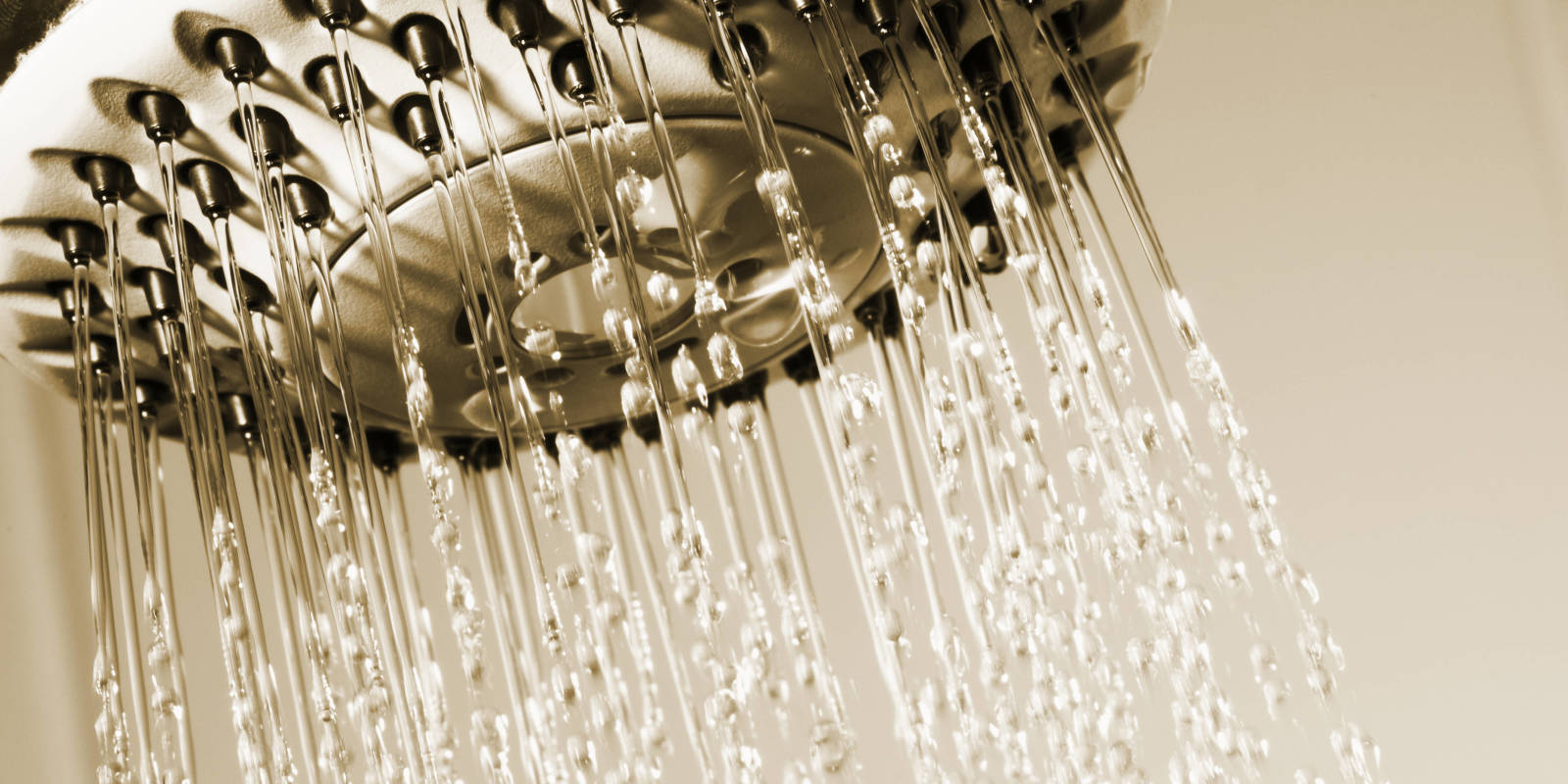 4 out of 5 women don't shower every day