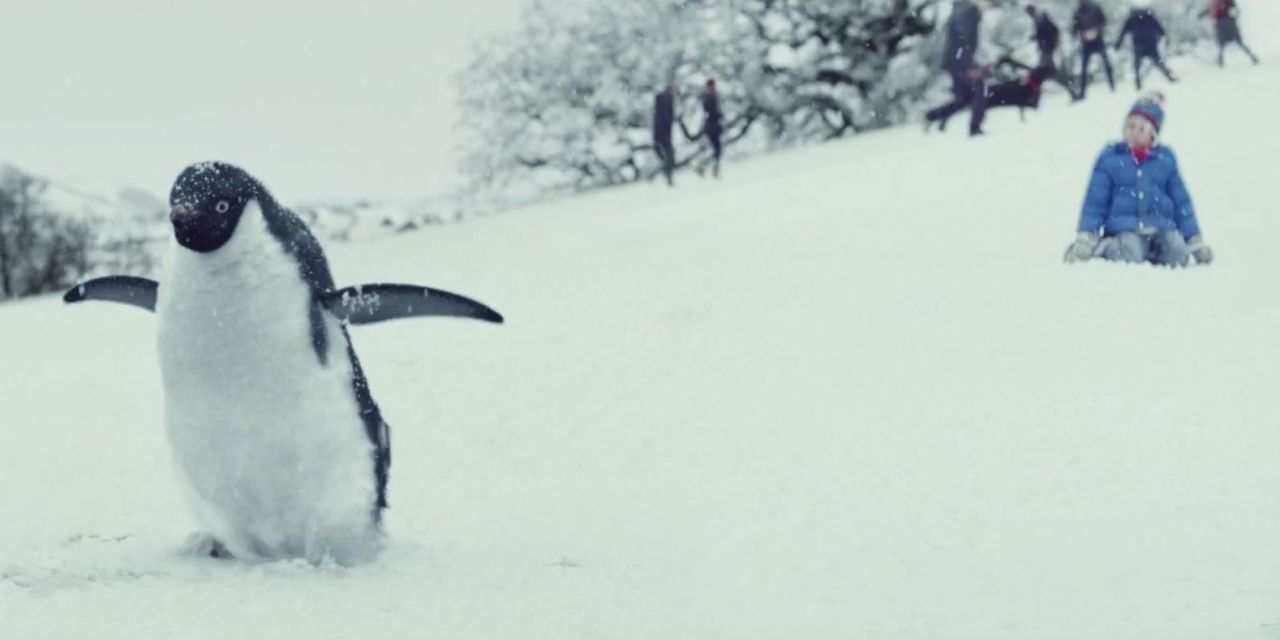 John Lewis's MontyThePenguin Christmas advert is here