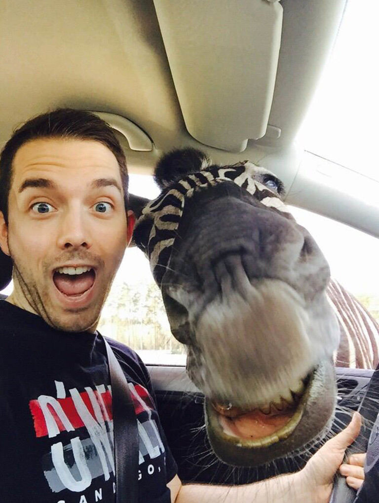 Man takes a selfie with a zebra