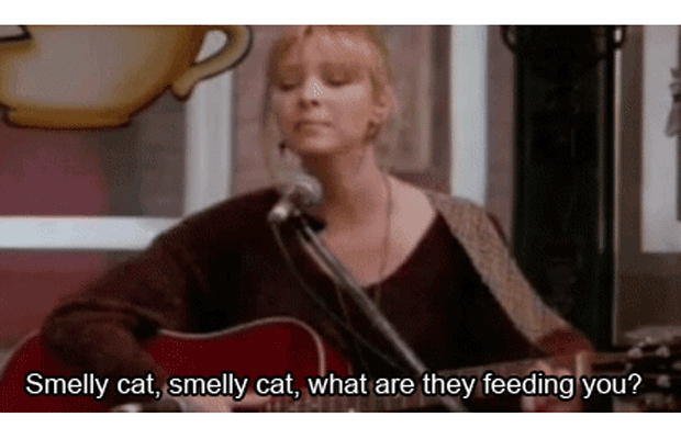 1459275982-smelly-cat.gif?width=300