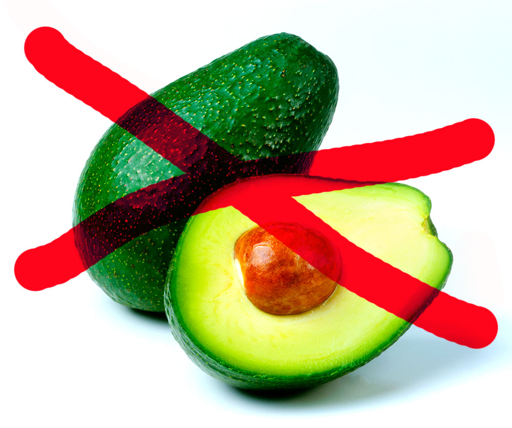 Why You Need to Stop Eating Avocados Immediately Why You Need to Stop Eating Avocados Immediately